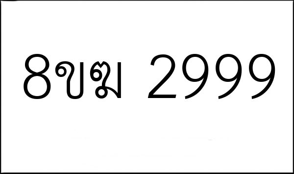 8ขฆ 2999
